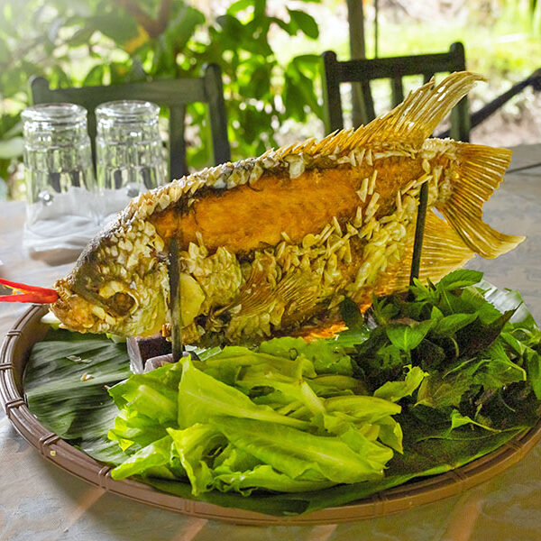 Mekong Delta