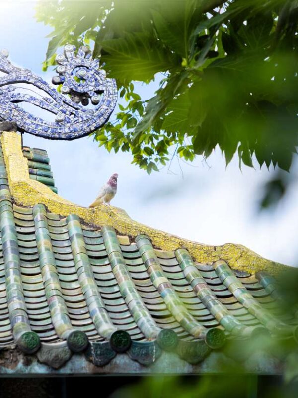 Temple Sightseeing
